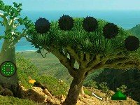 Dragon Tree Forest Escape