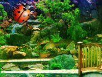 Ladybug Rainforest Escape