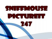 Sniffmouse PictureIt 347