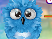 Cute Blue Owl Escape