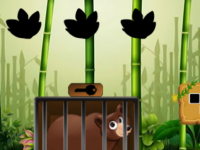 Smokey Bear Escape