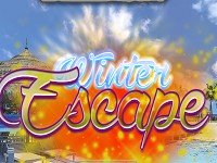 Winter Escape